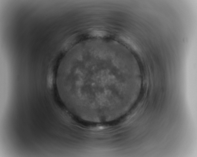 X0000099570647200805231532