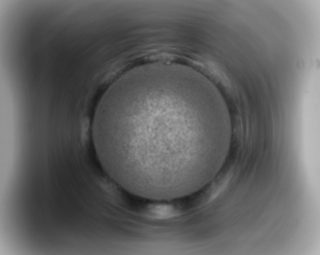 X0000099570649200805231532