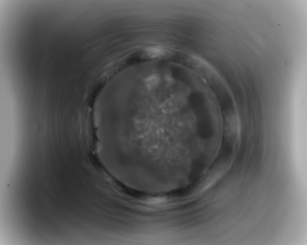 X0000099570653200805231532