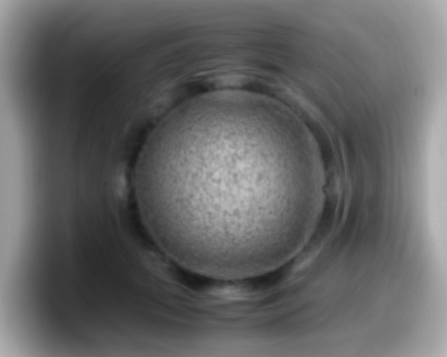 X0000099570655200805231532