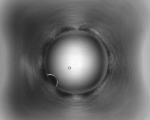 X0000099570656200805231532