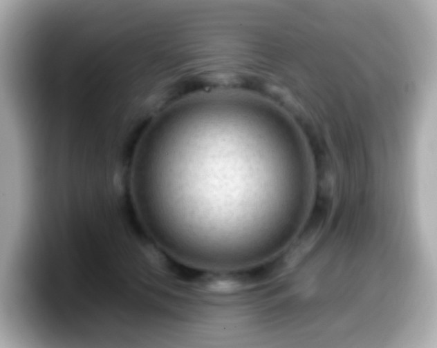 X0000099570658200805231532