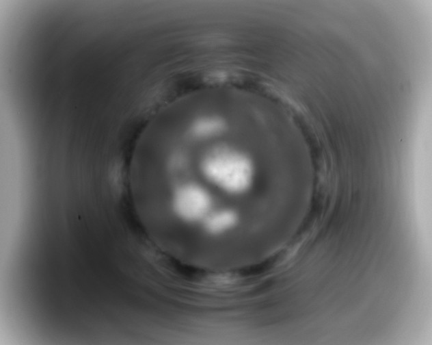 X0000099570659200805231532