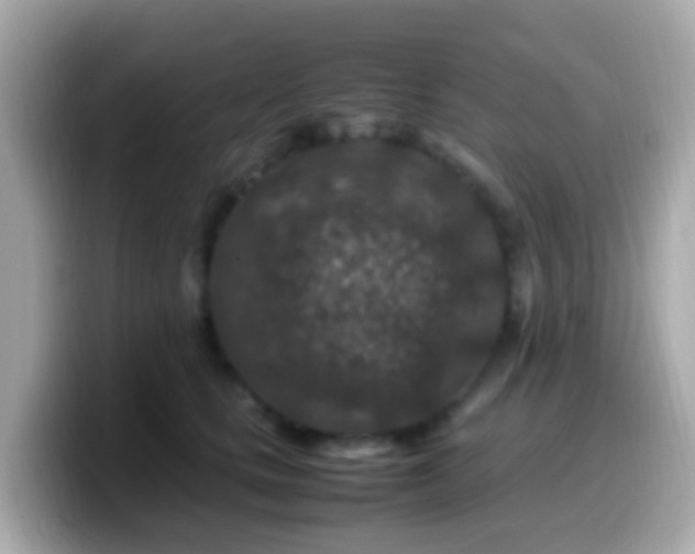 X0000099570661200805231532