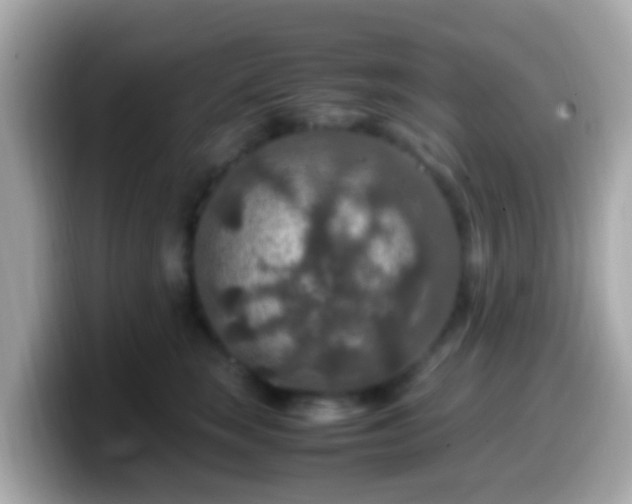 X0000099570663200805231532