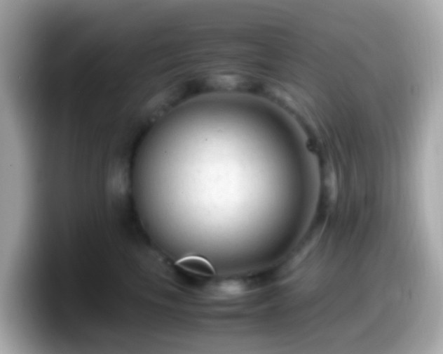 X0000099570665200805231532