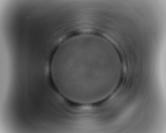 X0000099570668200805231532