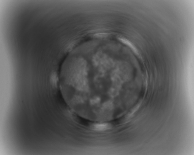 X0000099570669200805231532