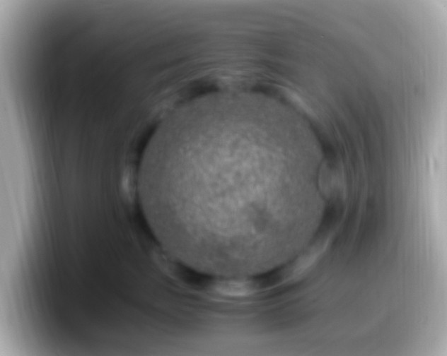 X0000099570671200805231532