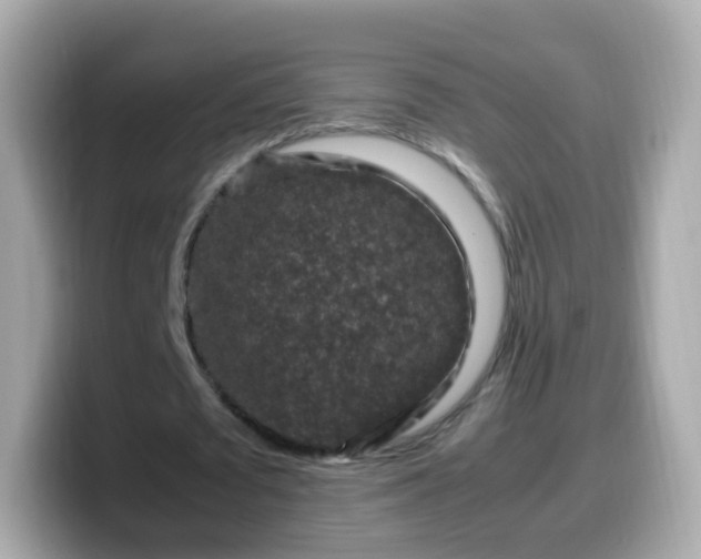 X0000099570673200805231532
