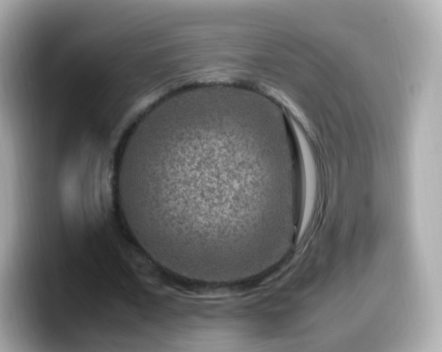 X0000099570675200805231532