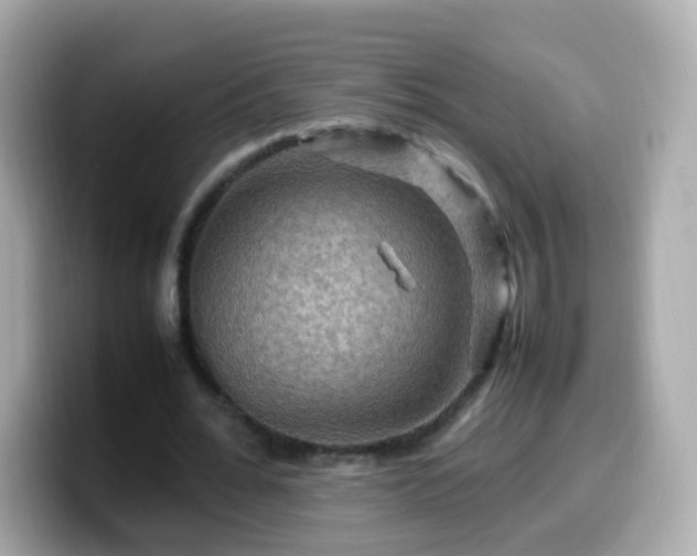 X0000099570676200805231532