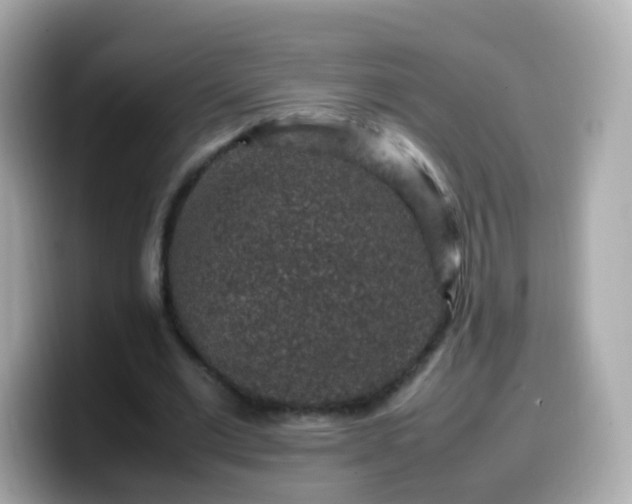 X0000099570677200805231532