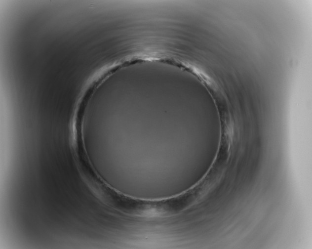 X0000099570678200805231532