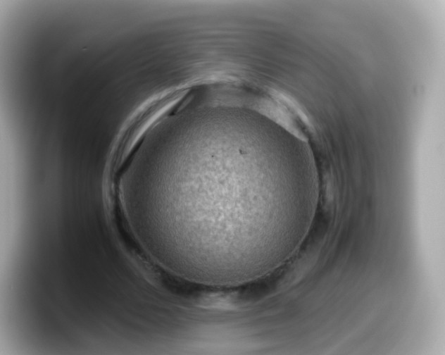 X0000099570680200805231532