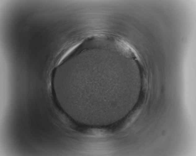 X0000099570681200805231532