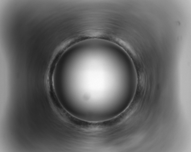 X0000099570682200805231532