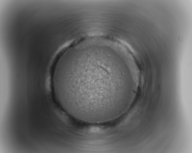 X0000099570684200805231532