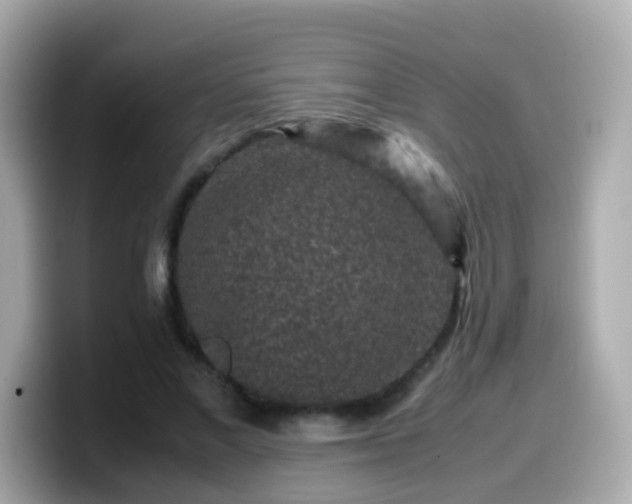 X0000099570685200805231532