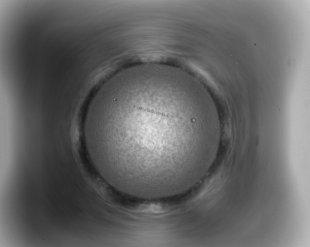 X0000099570687200805231532