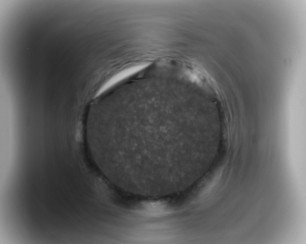 X0000099570689200805231532