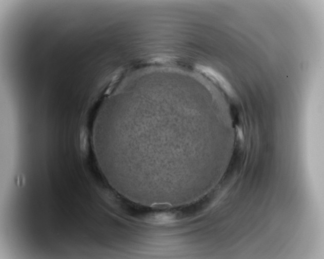 X0000099570692200805231532