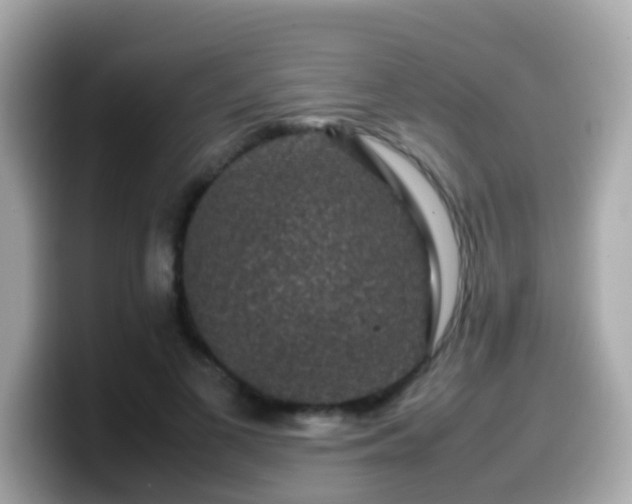 X0000099570693200805231532