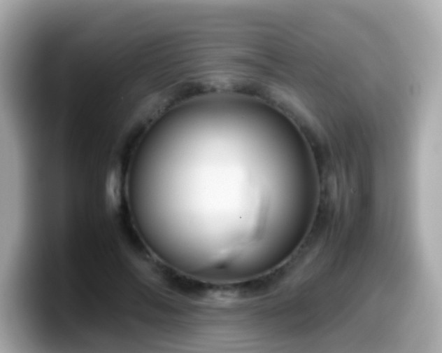 X0000099570694200805231531