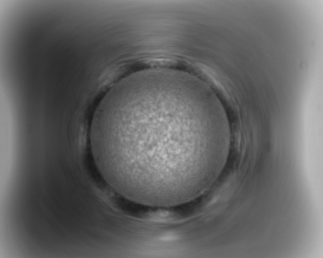 X0000099570695200805231531