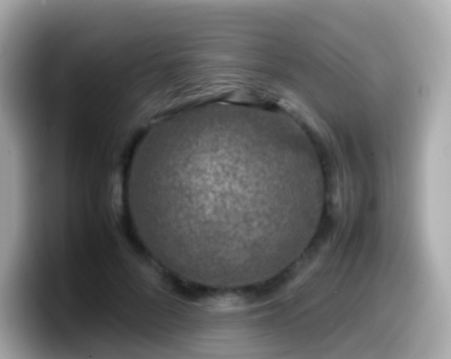 X0000099570696200805231531