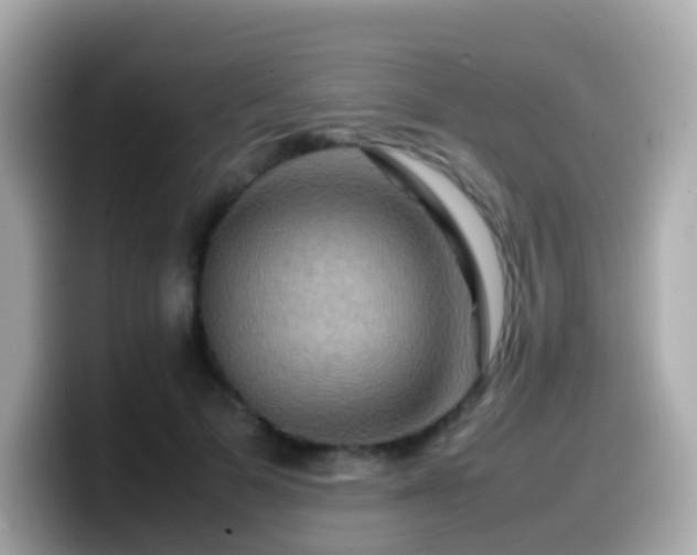 X0000099570697200805231531