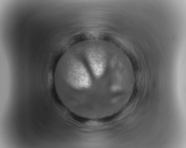 X0000099570699200805231531