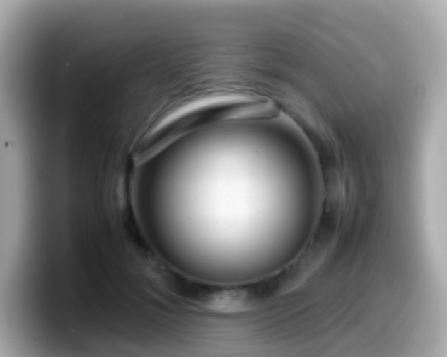 X0000099570700200805231531