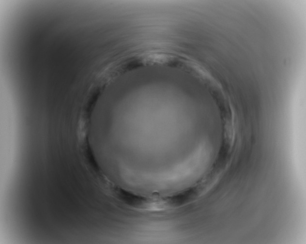 X0000099570701200805231531