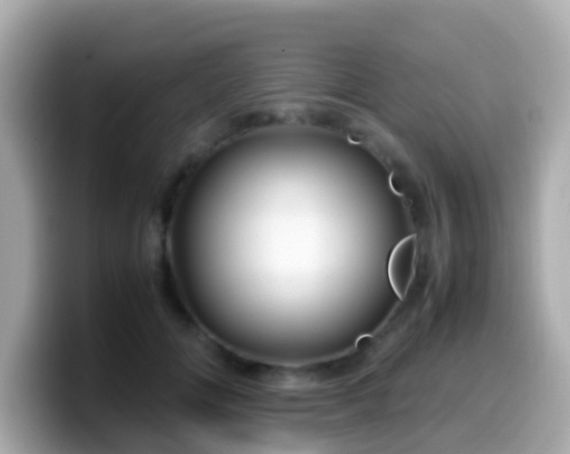 X0000099570702200805231531