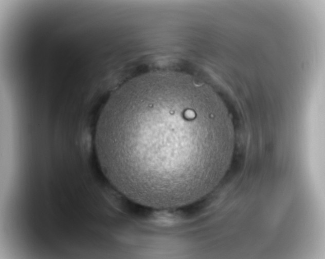 X0000099570703200805231531