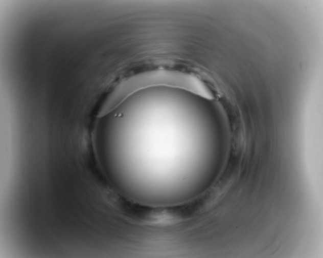 X0000099570704200805231531