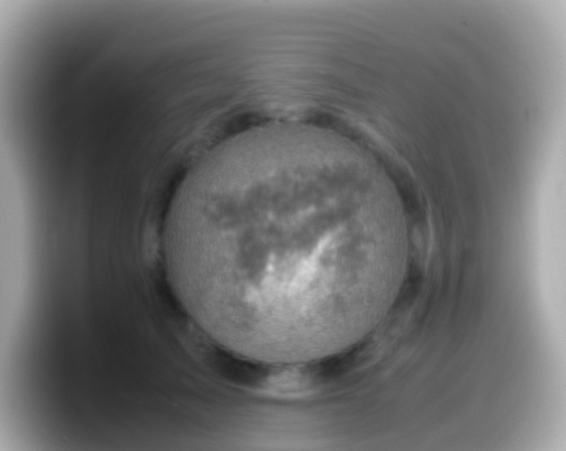 X0000099570705200805231531