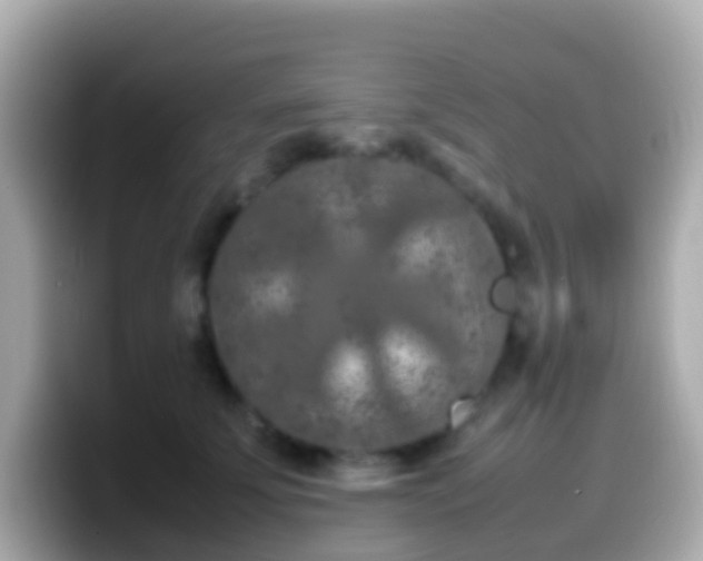 X0000099570707200805231531