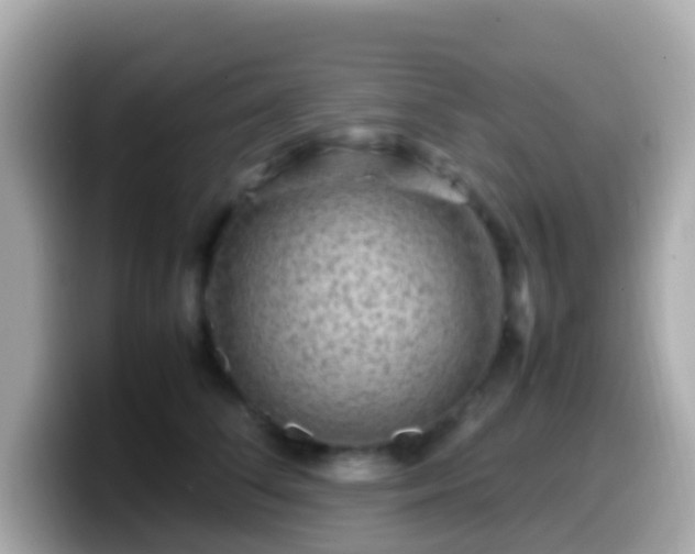 X0000099570708200805231531