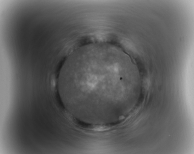 X0000099570709200805231531