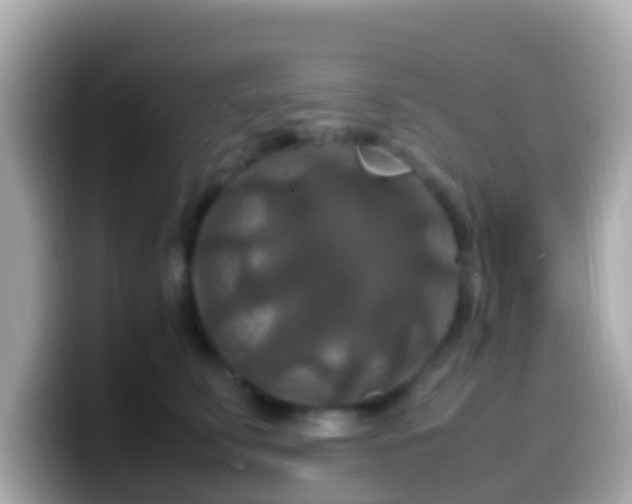 X0000099570711200805231531