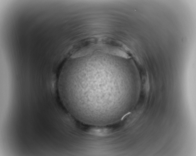 X0000099570712200805231531