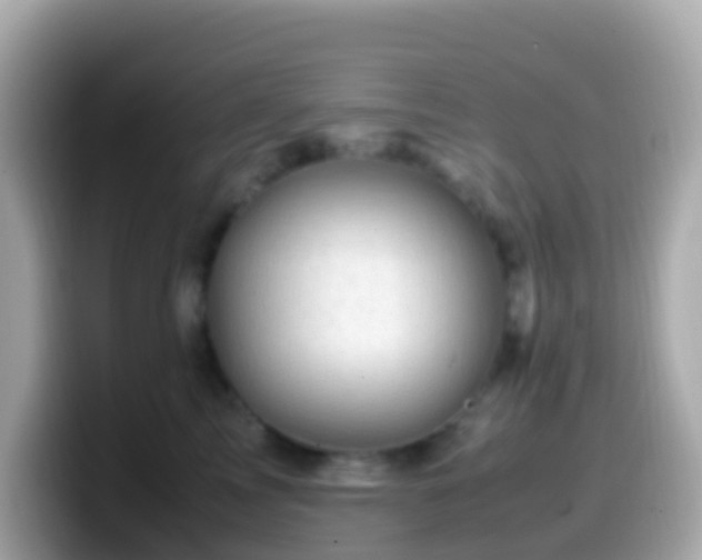 X0000099570713200805231531