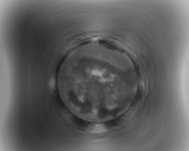 X0000099570715200805231531