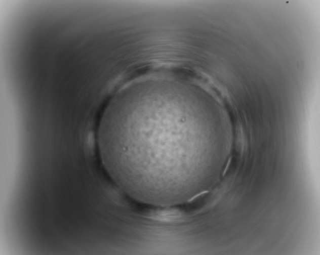 X0000099570716200805231531