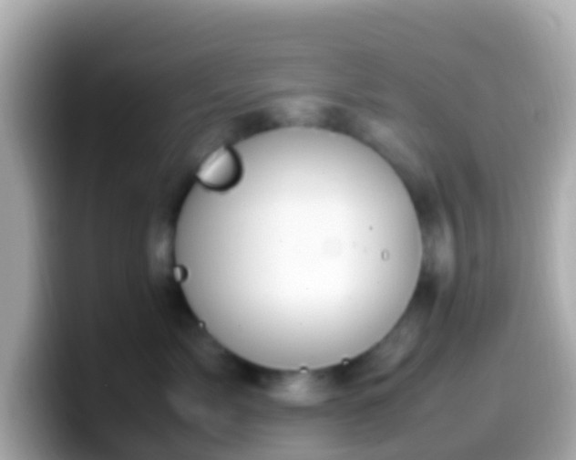 X0000099570717200805231531