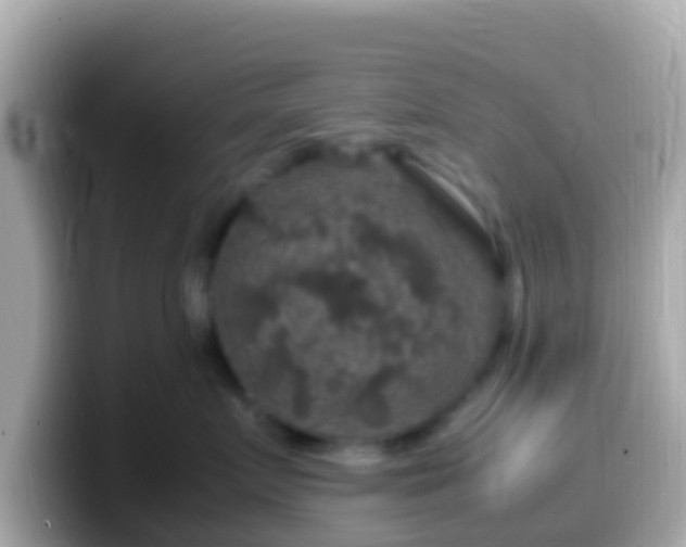 X0000099570719200805231531