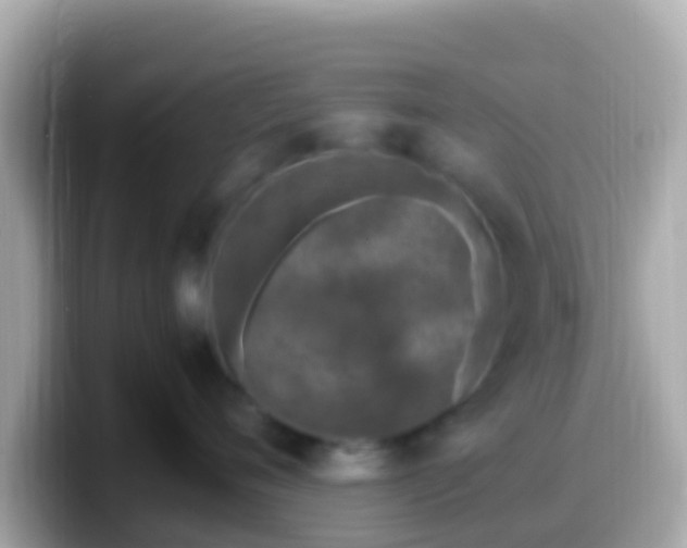 X0000099570720200805231531