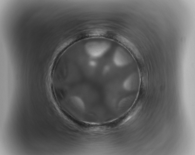 X0000099570721200805231531